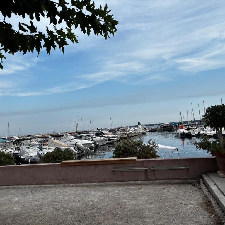 T2 refait à neuf à 50m de la plage Moure Rouge,climatisé, parking - Appartement 1 Chambre - 29