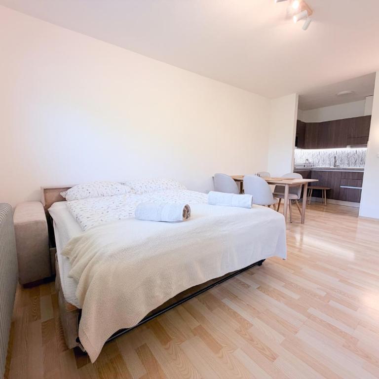 Apartmán Korutany - Apartment mit 1 Schlafzimmer - 7