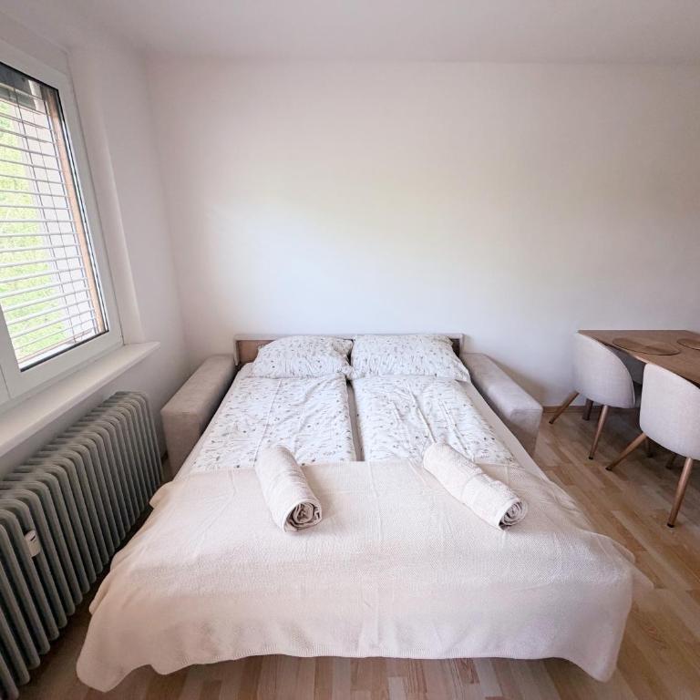 Apartmán Korutany - Apartment mit 1 Schlafzimmer - 10