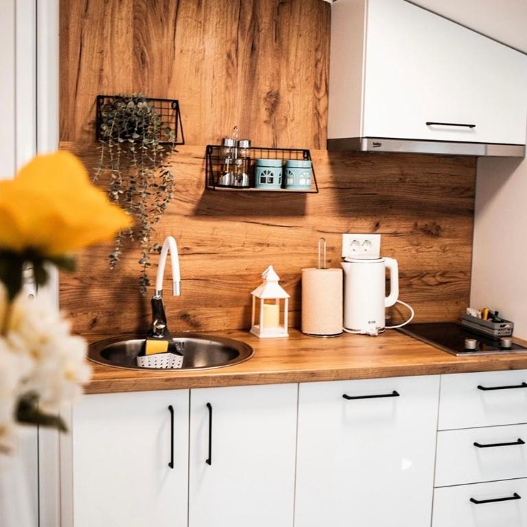 Apartman Emili Kotor-Ljesevici - One-Bedroom Apartment - 7