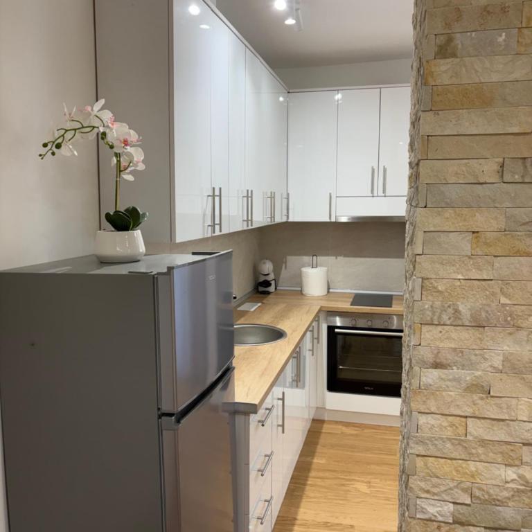 Apartmani Obradovic - Apartman sa 1 Spavaćom Sobom - 2