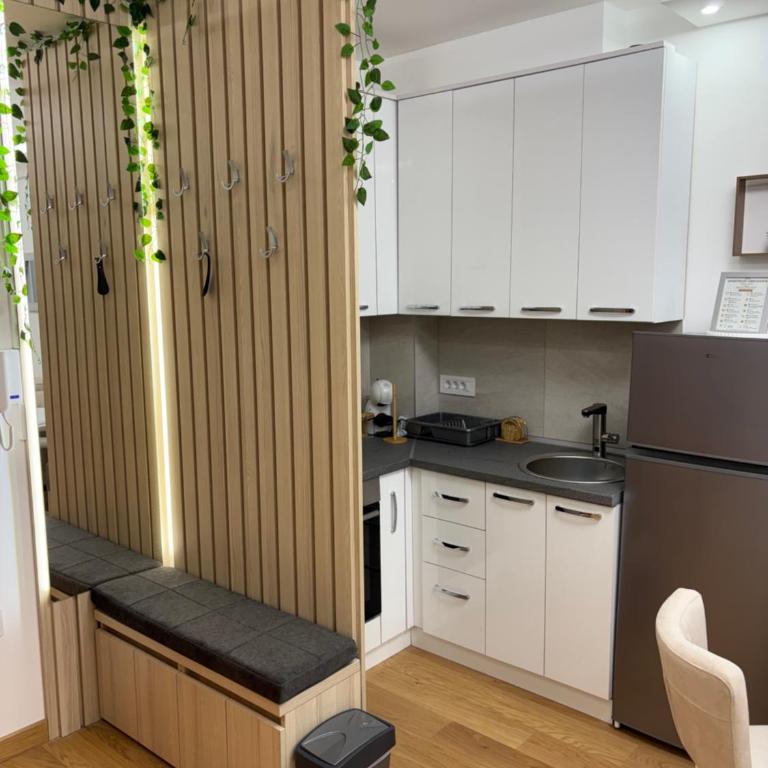 Apartmani Obradovic - Apartman sa 1 Spavaćom Sobom - 9