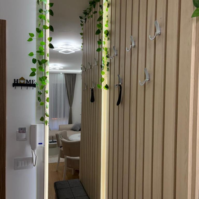 Apartmani Obradovic - Apartman sa 1 Spavaćom Sobom - 15