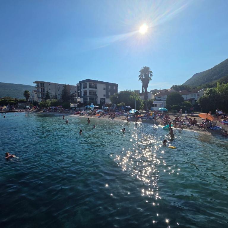 Apartmani Komatina Đenovići 2 - One-Bedroom Apartment - 33