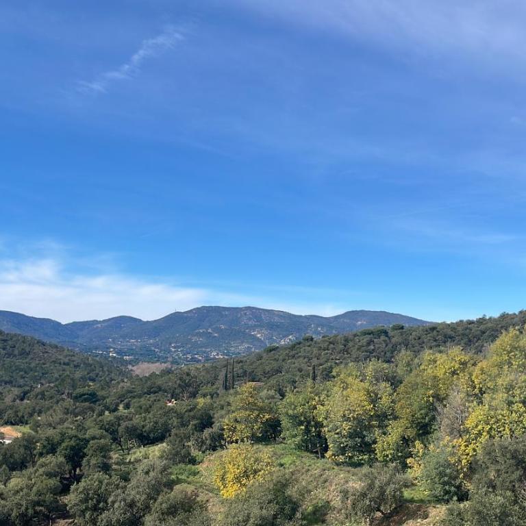 Vue panoramique, appartement 3 chambres, 10 personnes golfe Saint-tropez 116m2 - Appartement - 4