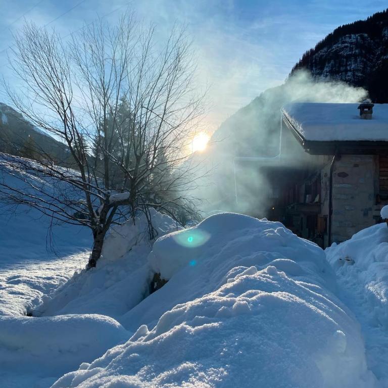 Casa Salvia Valdaone - Appartamento con 1 Camera da Letto - 11