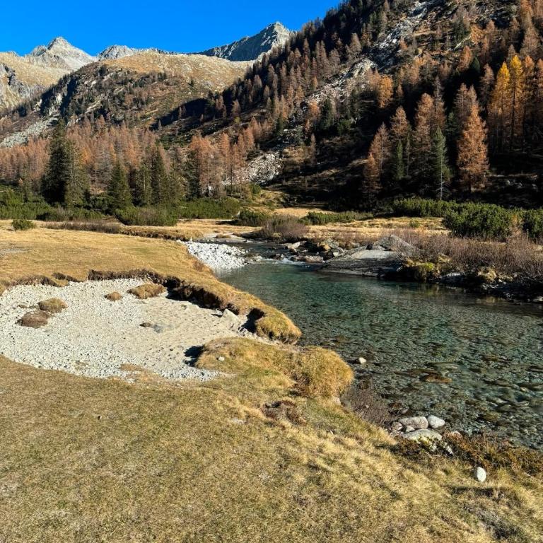 Casa Salvia Valdaone - Appartamento con 1 Camera da Letto - 20