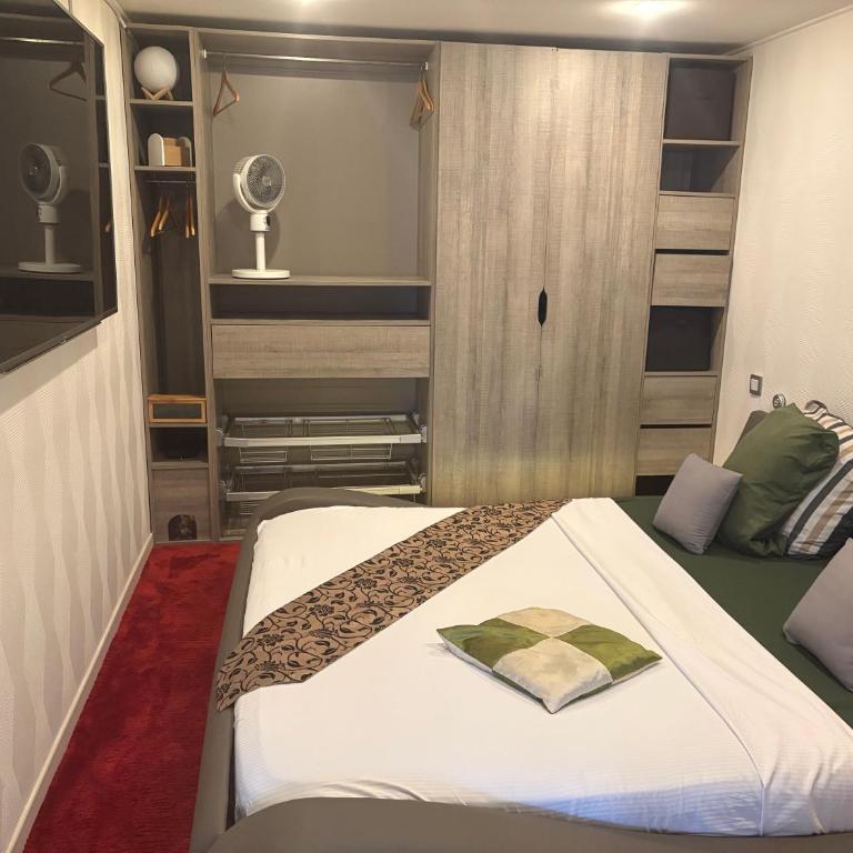 appartement moderne et spacieux, parking privé, climatisation, proche de la vieille ville et du Lac - Appartement 1 Chambre - 17