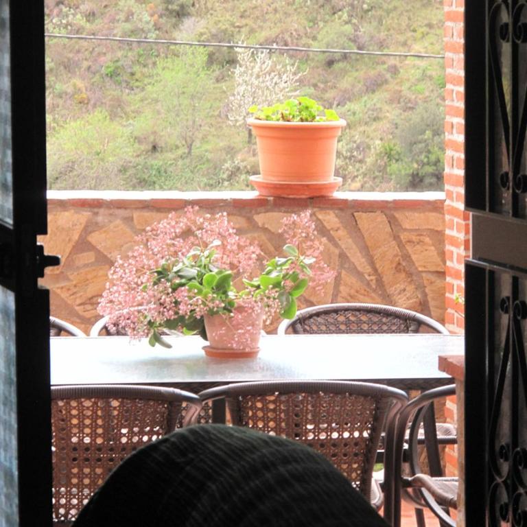Cortijo Luque - Vacation Home - 19