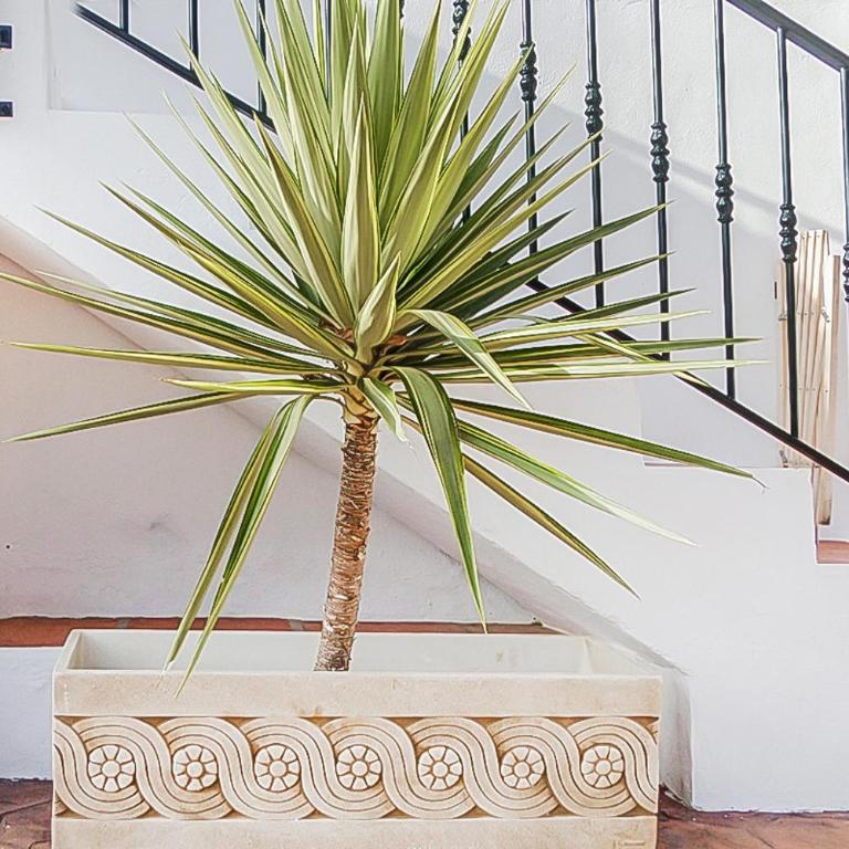Cortijo Luque - Vacation Home - 36