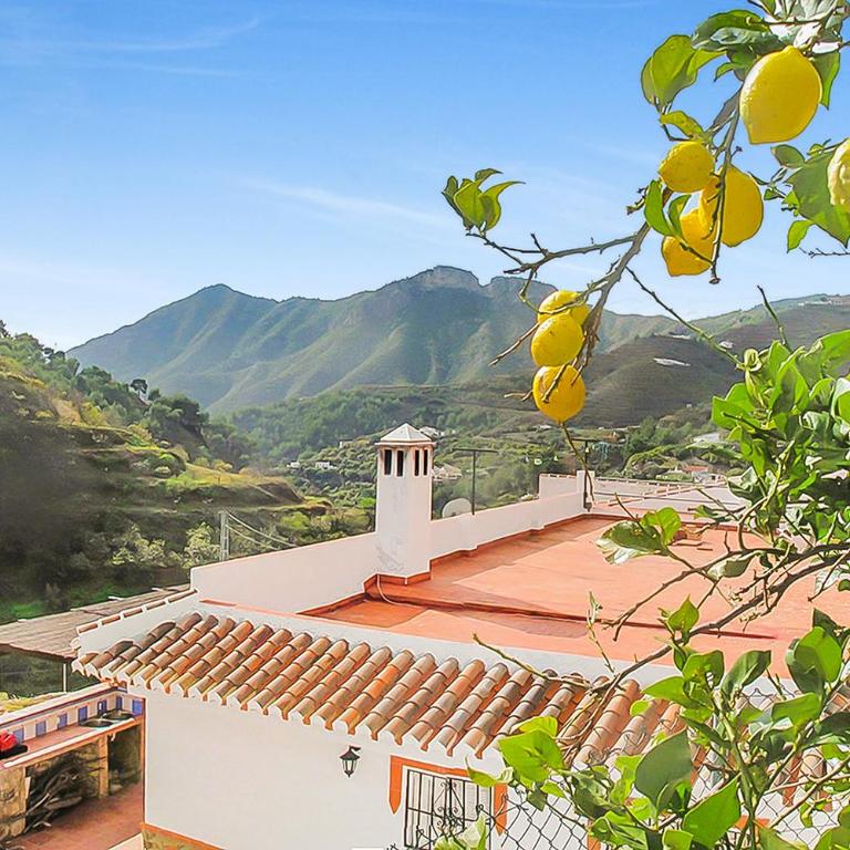 Cortijo Luque - Vacation Home - 2