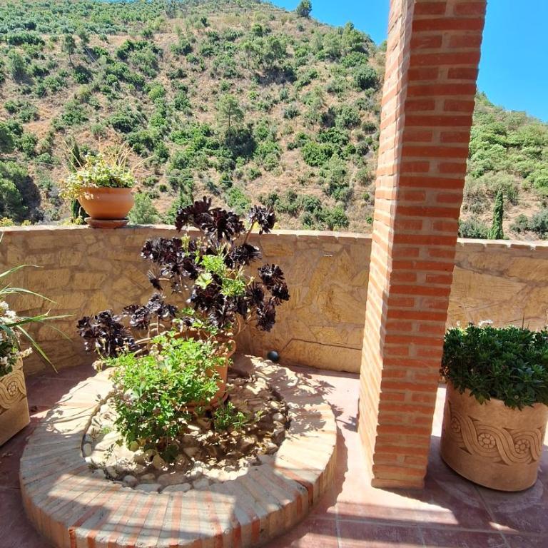 Cortijo Luque - Vacation Home - 21
