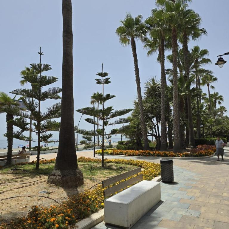 The Palm Retreat - Apartamento de 3 dormitorios - 30