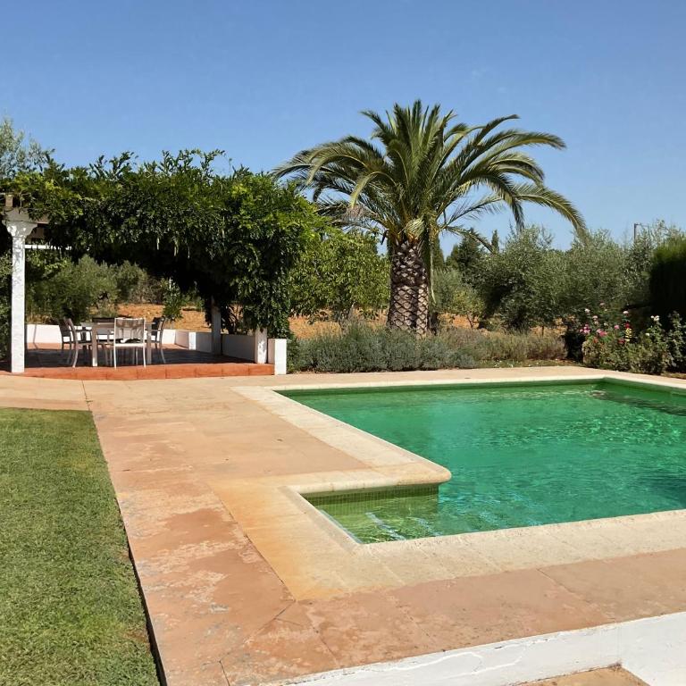 El Carmen - Villa - 50