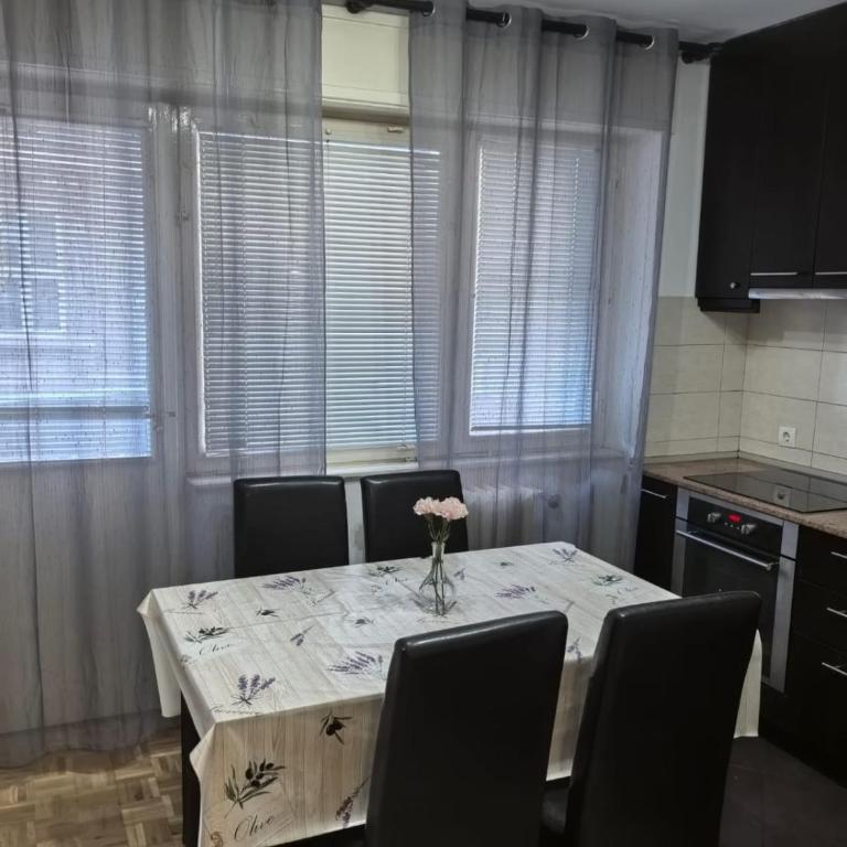 Kalemegdan park and Zoo 1 - Apartman sa 1 Spavaćom Sobom - 21