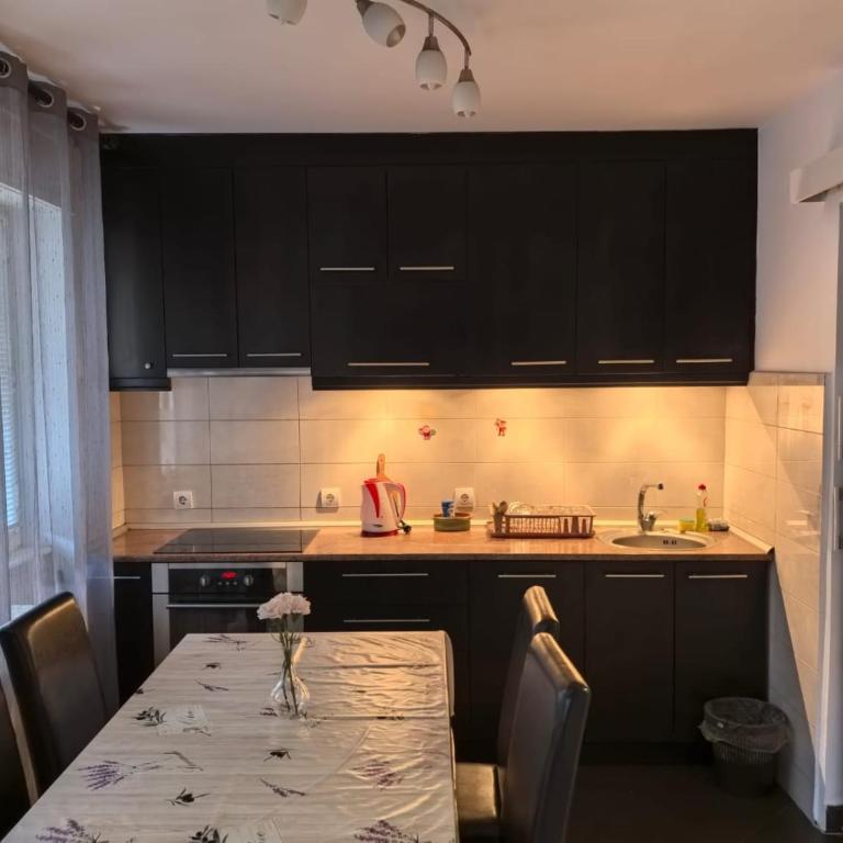 Kalemegdan park and Zoo 1 - Apartman sa 1 Spavaćom Sobom - 19