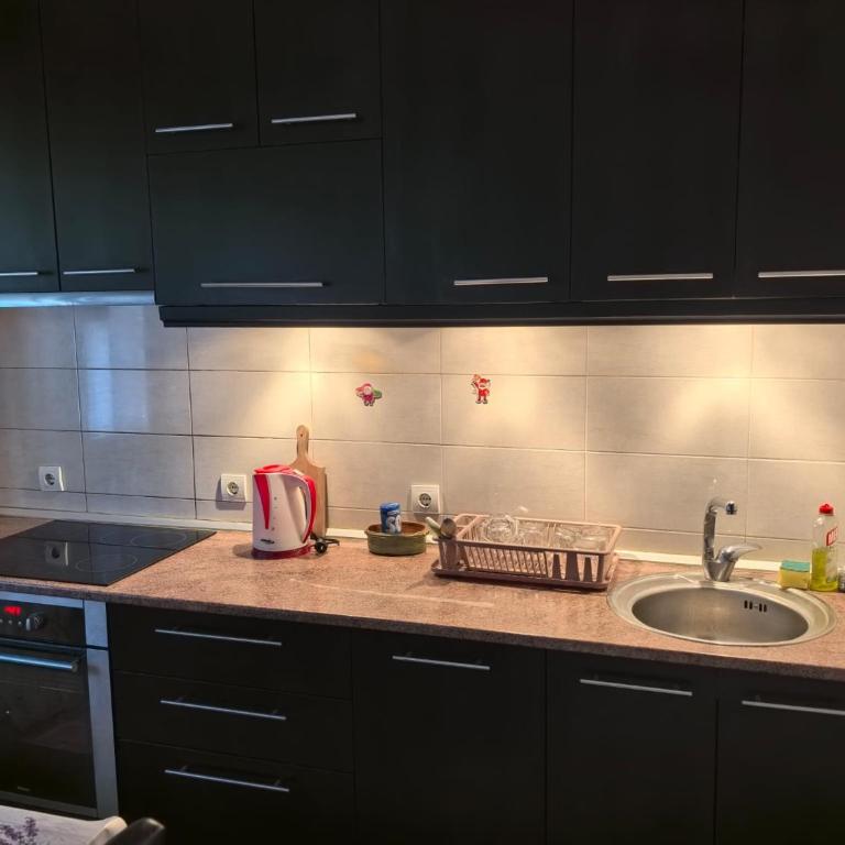 Kalemegdan park and Zoo 1 - Apartman sa 1 Spavaćom Sobom - 22