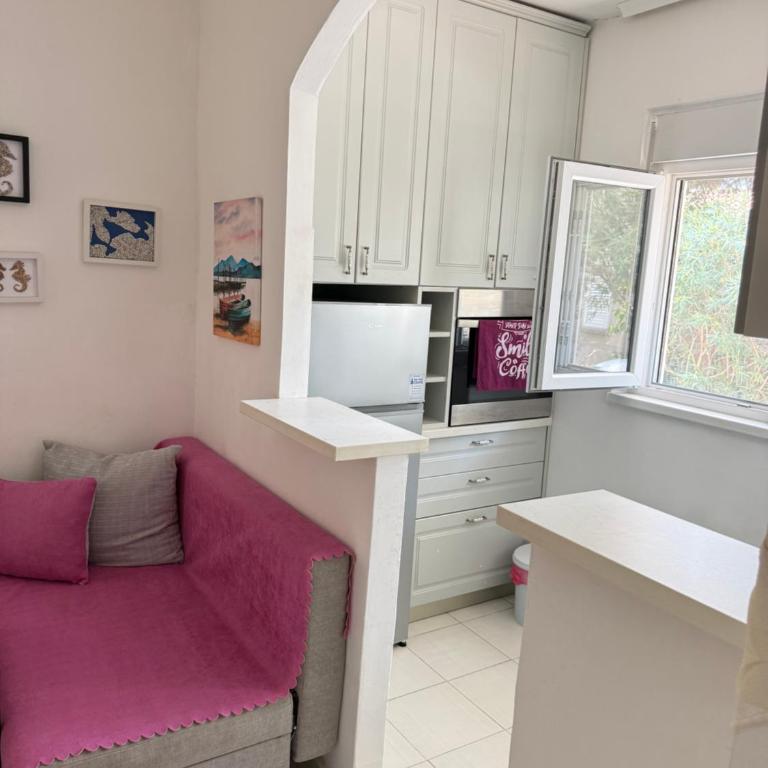 Apartman Dunjićeva - Appartement 1 Chambre - 4