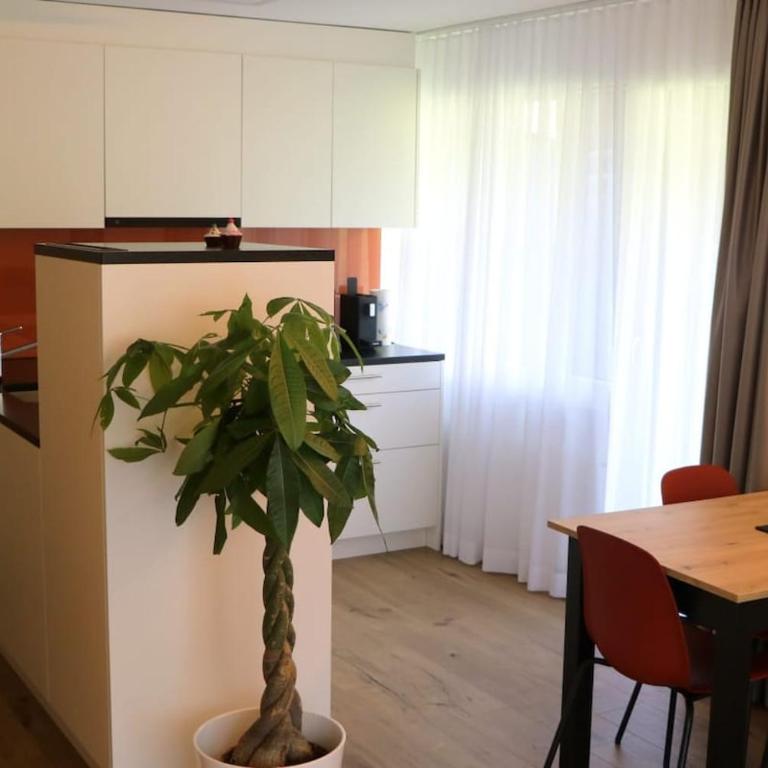 Apartment 4478 - Studio - 5