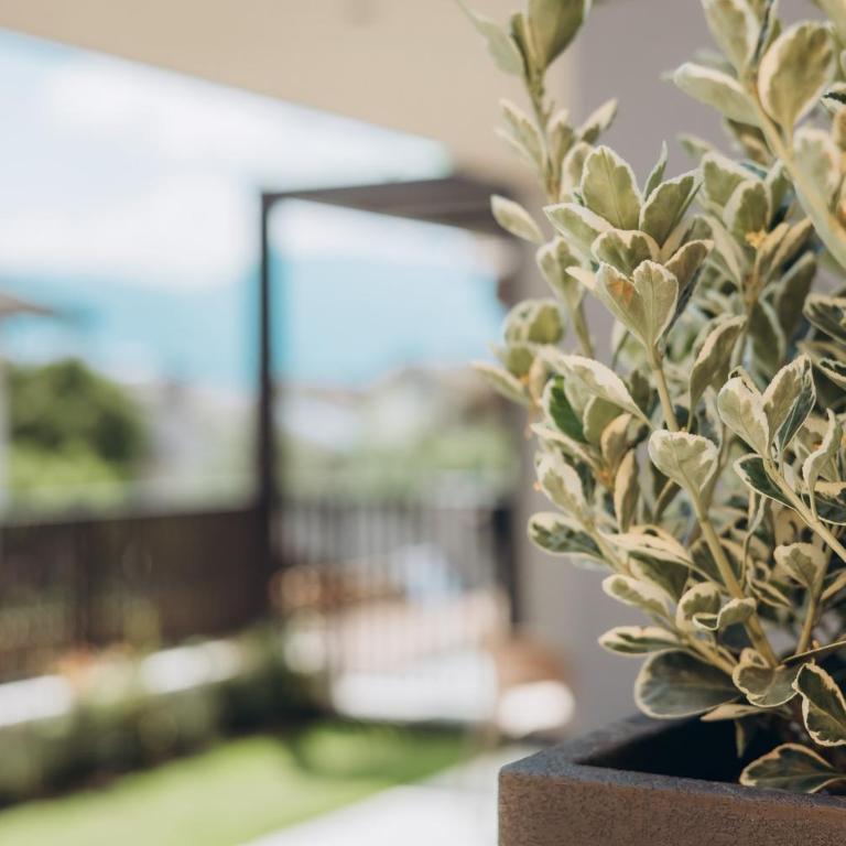 Terra Mea - NEW - Two-Bedroom Apartment with Terrace - 14