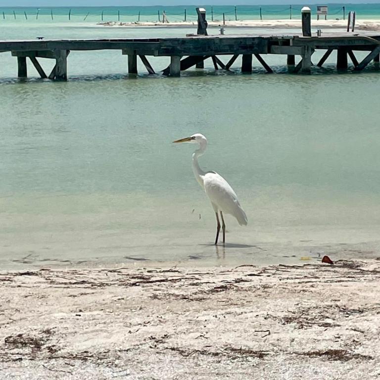 HOLBOX PUERTA DEL MAR - Ferienhaus mit 3 Schlafzimmern - 72