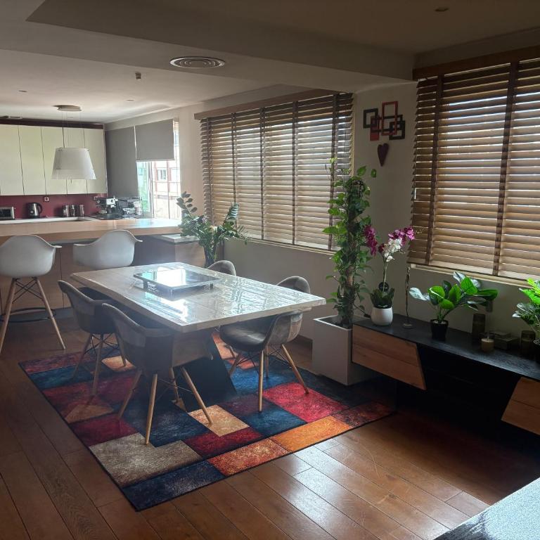 appartement moderne et spacieux, parking privé, climatisation, proche de la vieille ville et du Lac - Appartement 1 Chambre - 13