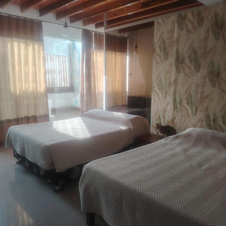 Casa Berenice - Double Room with Private Bathroom - 6