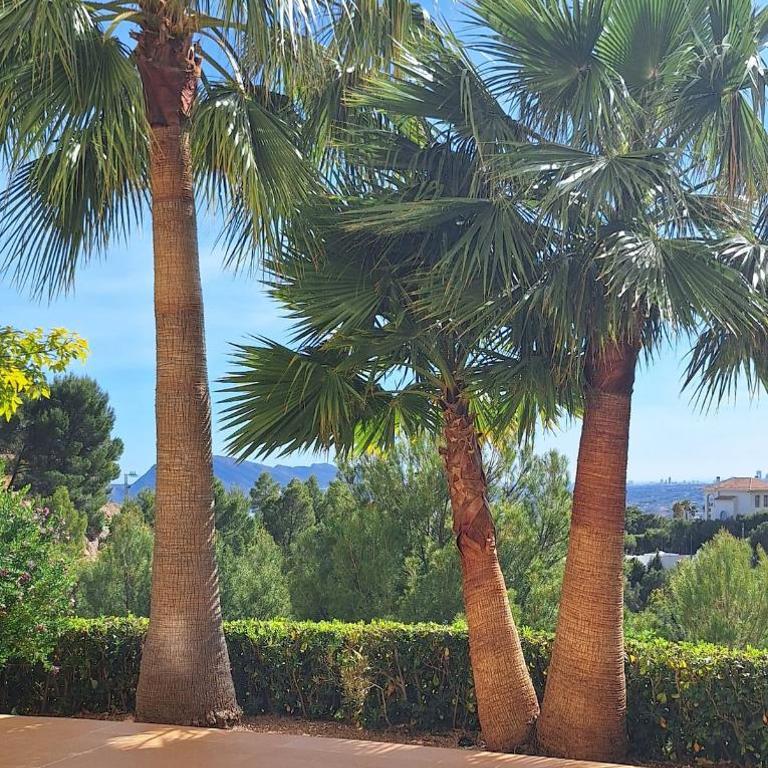 Duplex Penthouse overlooking the bay of Altea - Apartamento de 2 dormitorios - 14