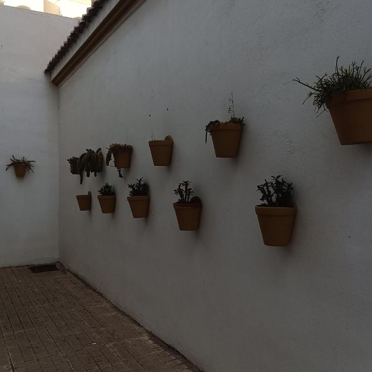 Complejo Roquemar - Apartamento de 1 dormitorio - 8