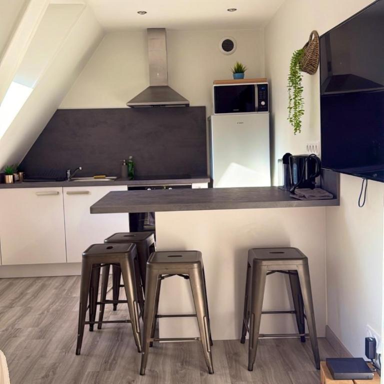 Le Cocon des Cordiers Historic Center - One-Bedroom Apartment - 4