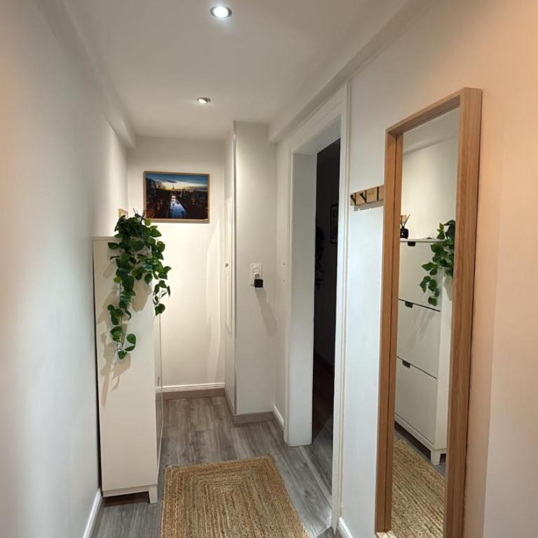 Le Cocon des Cordiers Historic Center - One-Bedroom Apartment - 7