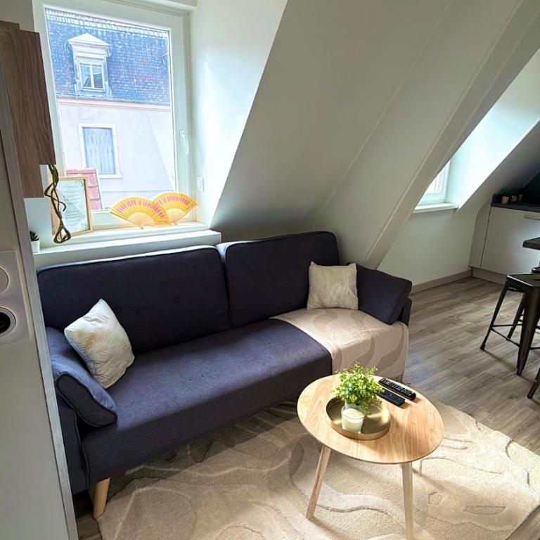 Le Cocon des Cordiers Historic Center - One-Bedroom Apartment - 2