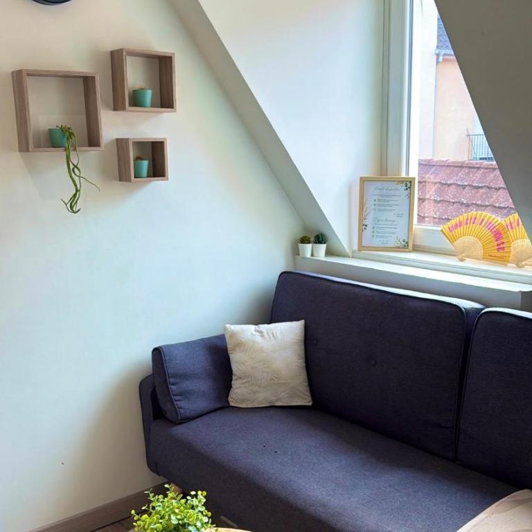 Le Cocon des Cordiers Historic Center - One-Bedroom Apartment - 3