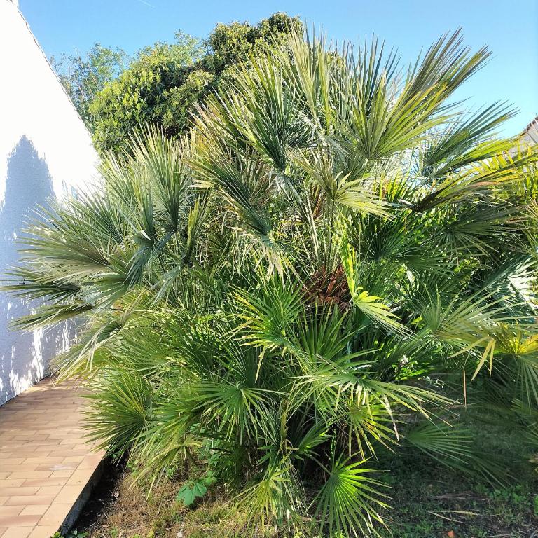 Villa 6 personnes Proche plage - Villa 3 Chambres - 26