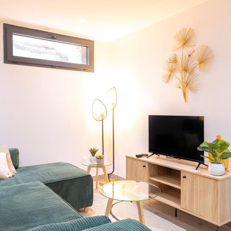 Appartements Cocon & Cosy - Terrasse privée - proche Paris et stade de France - Appartement 1 Chambre - 25