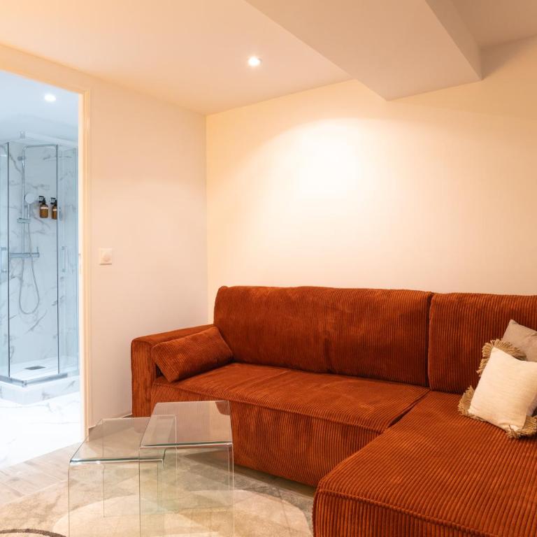 Appartements Cocon & Cosy - Terrasse privée - proche Paris et stade de France - Appartement 1 Chambre - 43