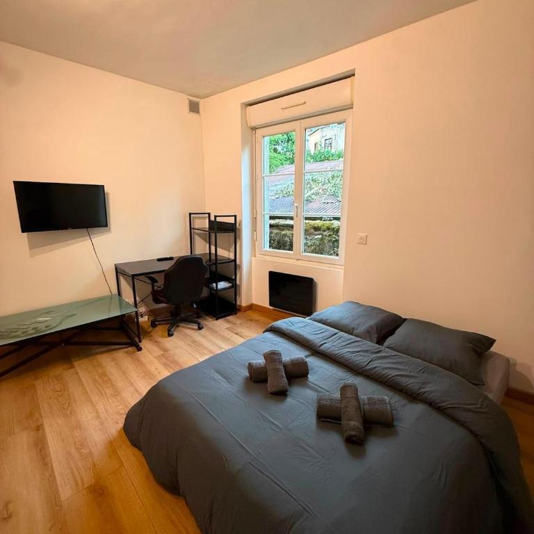 Studio cosy au coeur de Blois - Proche Château - Appartement 1 Chambre - 1