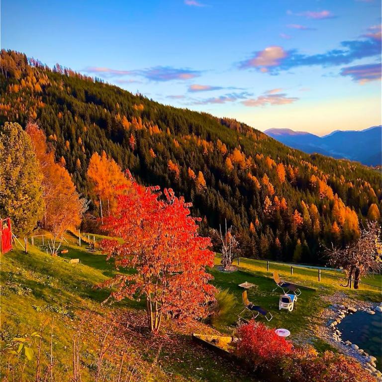 Haus Mauken - Appartments mit traumhaften Panoramablick - Appartement 1 Chambre - 34