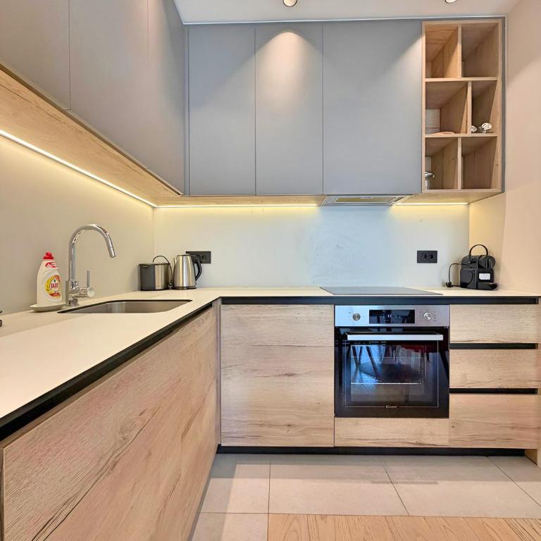 Belgrade Premium Waterfront Apartments B&B - Apartman sa 1 Spavaćom Sobom - 11