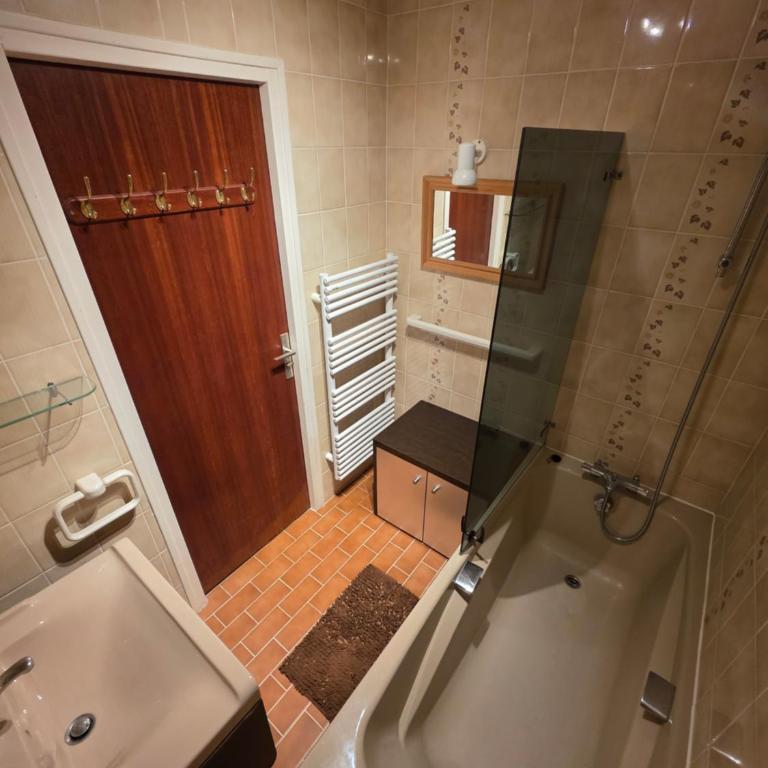 Le Serac Panoramic Mountain View spacious 40m2 managed by private host - Appartamento con Vista Montagna - 12