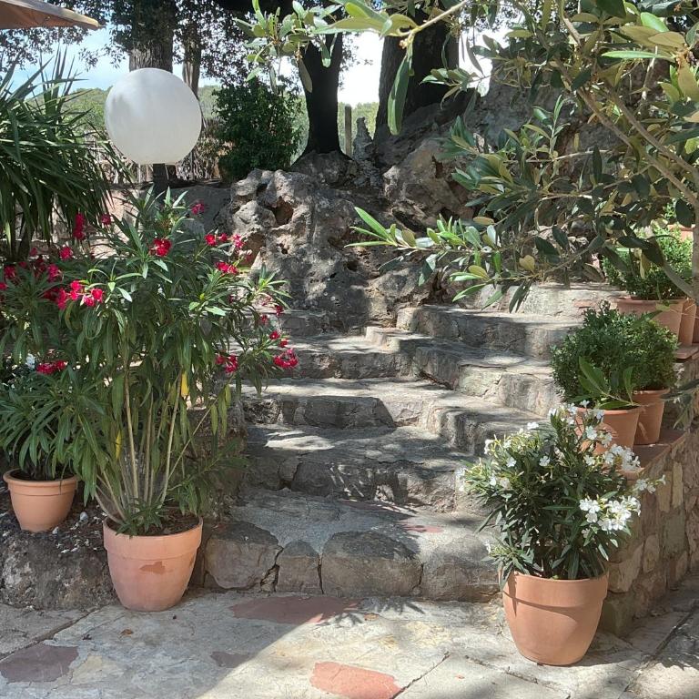 Villa San Marco chambre d hôtes - Studio avec Vue sur Jardin - 2