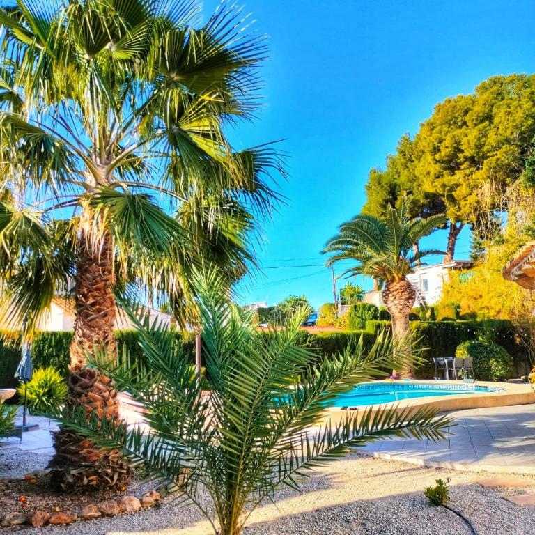 Villa La Musica - Three-Bedroom Villa - 5