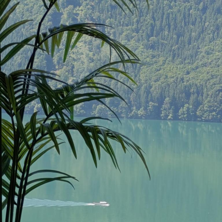 Modern house in the woods with a view of Millstättersee - Superior Villa - 5