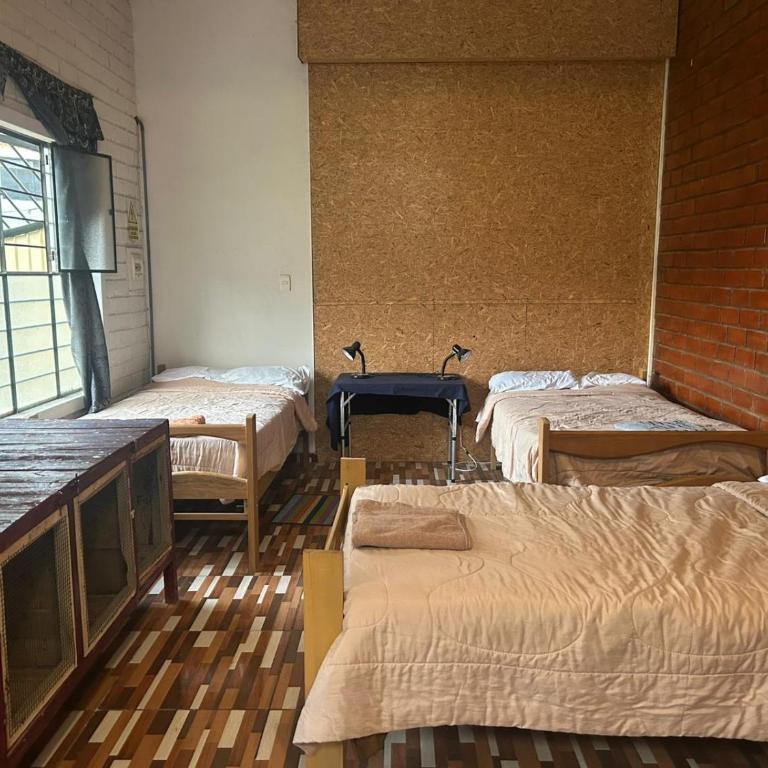 LA CASA DE RICKY "Garden Paradise & Eco-Lodge" - Cama en habitación compartida mixta de 6 camas - 18