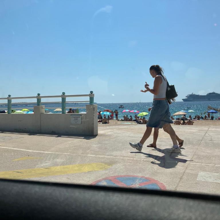 Cannes Sea front terace iland view parking AC wifi - Apartment mit Terrasse - 18
