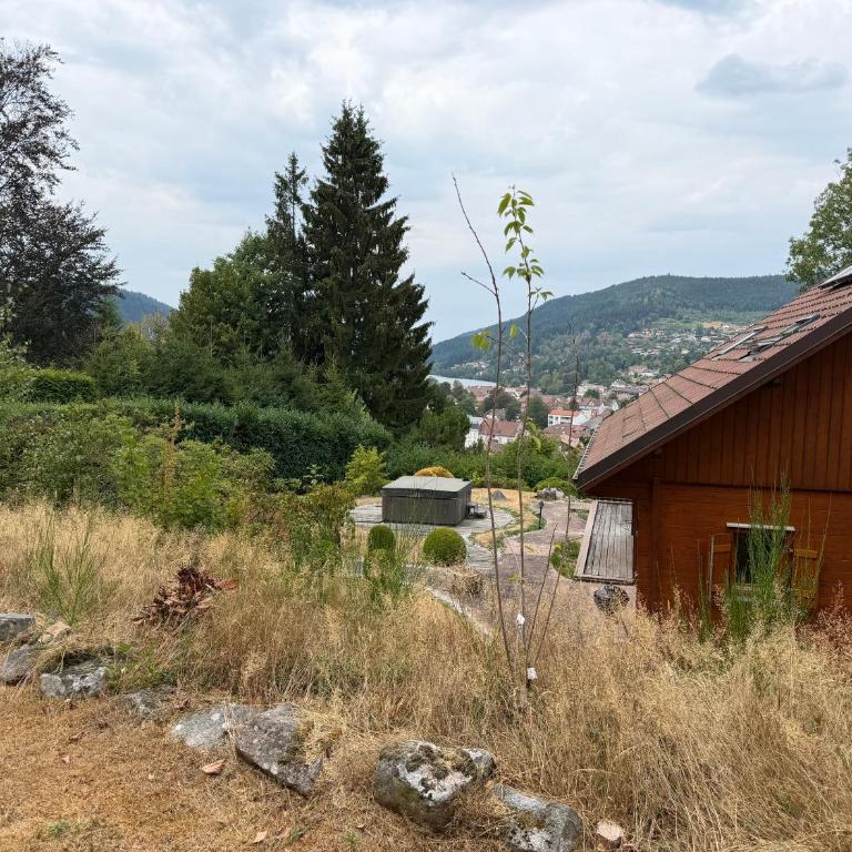 Chalet GERARDMER vue lac 5 min à pied du centre ville jacuzzi jardin - Chalet Supérieur - 37