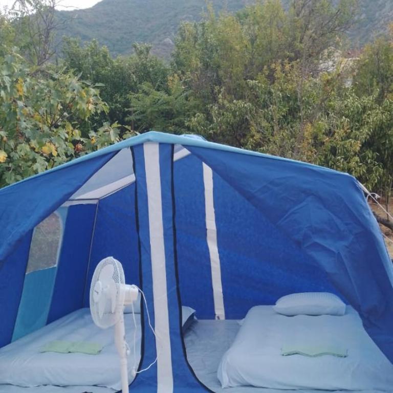 JelenaCamping - Tent - 2