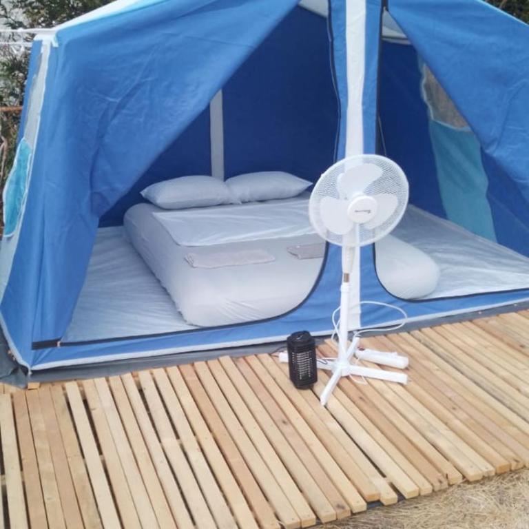 JelenaCamping - Tent - 1