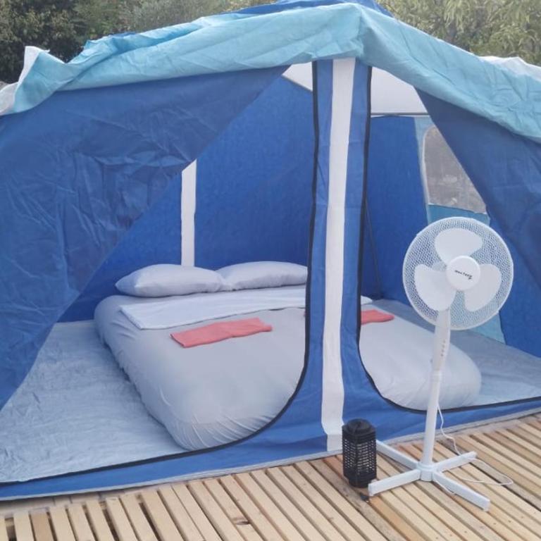 JelenaCamping - Tent - 1