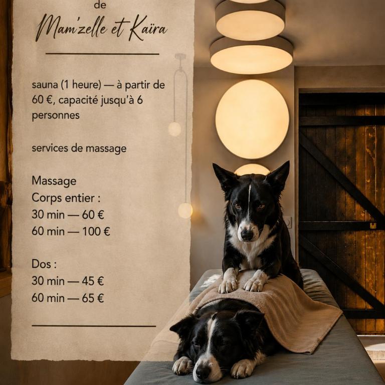 Atelier de Mam'zelle et Kaïra, les border collies - Chambre Double - 17